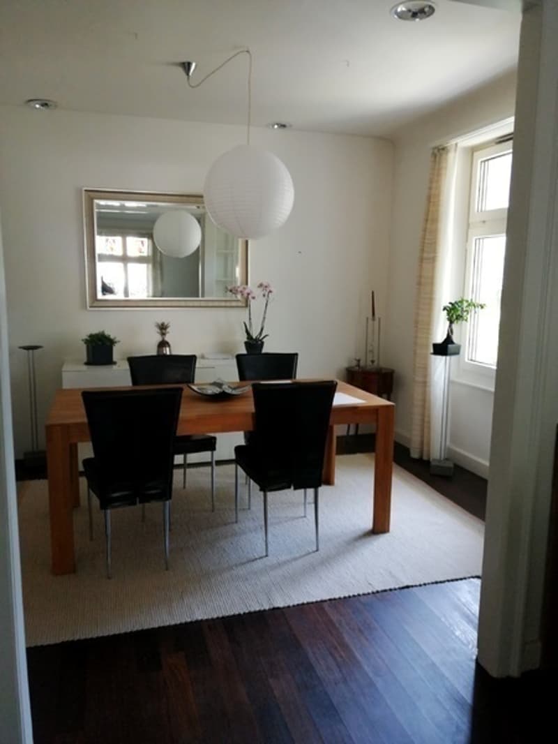 4 ZI-WOHNUNG IN BASEL - ALTSTADT/KLEINBASEL, MÖBLIERT, TEMPORÄR (4)