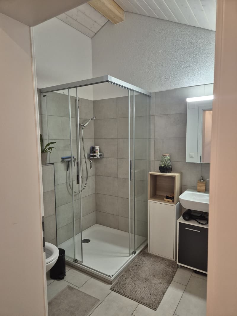 2½ ZI-WOHNUNG IN KÖNIZ (BE), MÖBLIERT, TEMPORÄR (8)