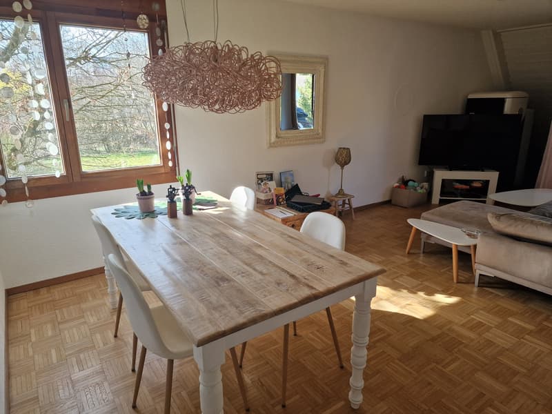 3½ ZI-WOHNUNG IN FEHRALTORF (ZH), MÖBLIERT, TEMPORÄR (2)