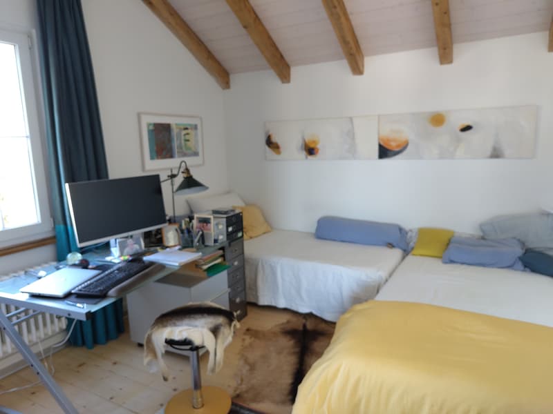 4½ ZIMMER-HAUS IN BERN - LIEBEFELD, MÖBLIERT, TEMPORÄR (6)