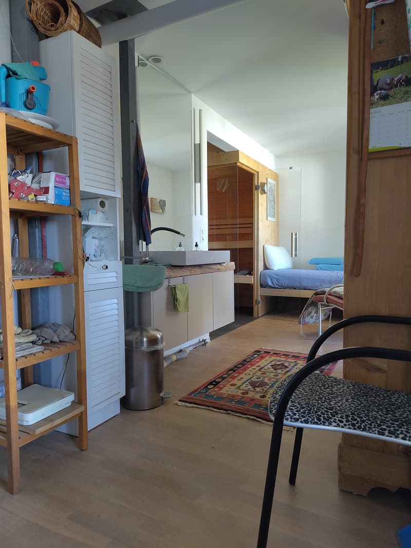 4½ ZIMMER-HAUS IN BERN - LIEBEFELD, MÖBLIERT, TEMPORÄR (10)