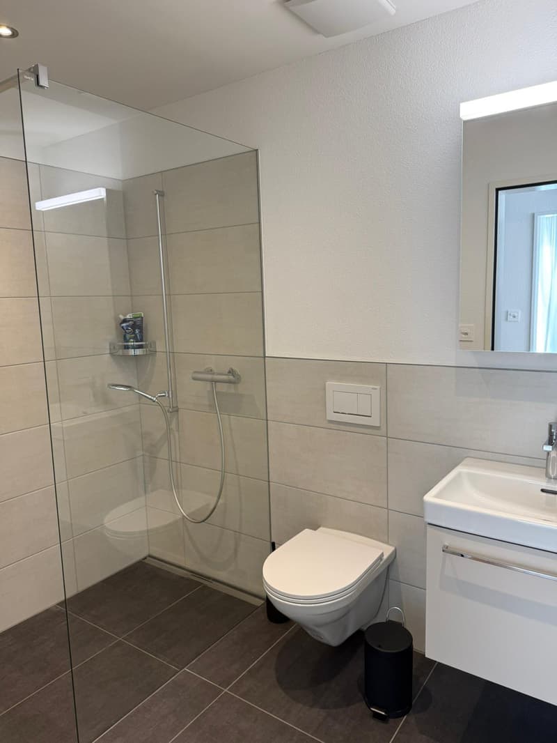3½ ZI-WOHNUNG IN BRUNNEN (SZ), MÖBLIERT, TEMPORÄR (9)