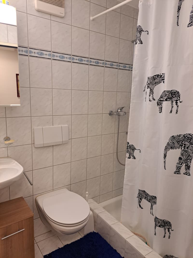 4½ ZI-WOHNUNG IN HORGEN (ZH), MÖBLIERT, TEMPORÄR (9)