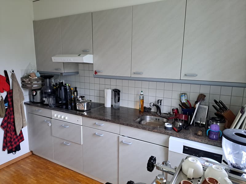 4½ ZI-WOHNUNG IN HORGEN (ZH), MÖBLIERT, TEMPORÄR (3)