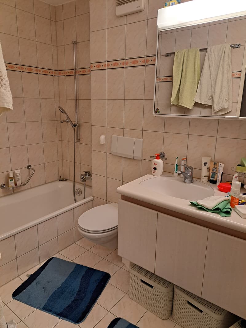 4½ ZI-WOHNUNG IN HORGEN (ZH), MÖBLIERT, TEMPORÄR (8)