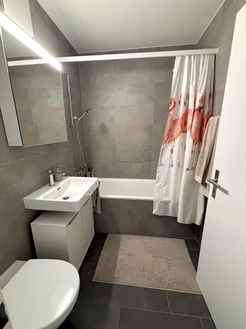 4½ ZI-WOHNUNG IN BASEL - BACHLETTEN/GOTTHELF, MÖBLIERT, TEMPORÄR (7)