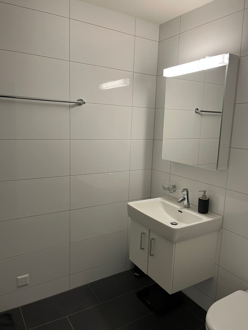 2½ ZI-WOHNUNG IN THUN (BE), MÖBLIERT, TEMPORÄR (6)