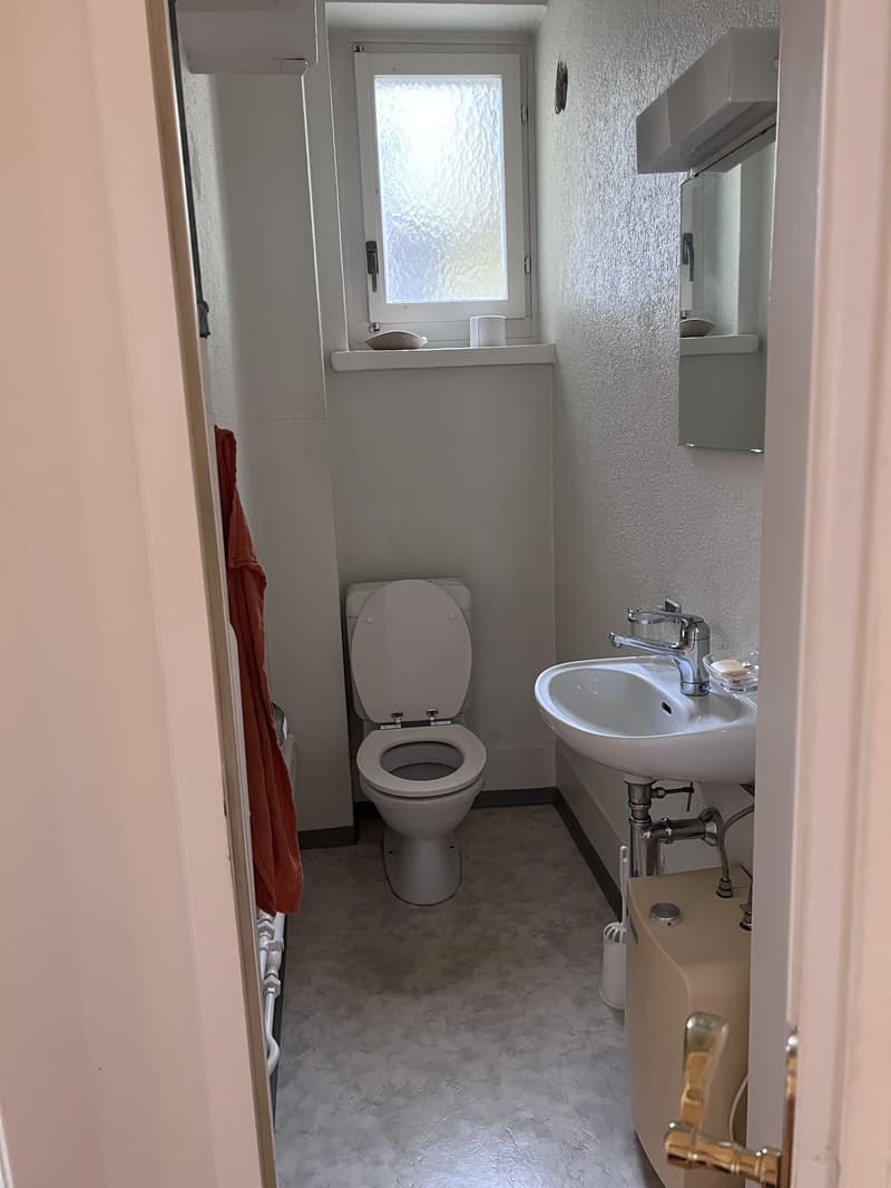 3 ZI-WOHNUNG IN ZURICH (ZH), MÖBLIERT, TEMPORÄR (5)