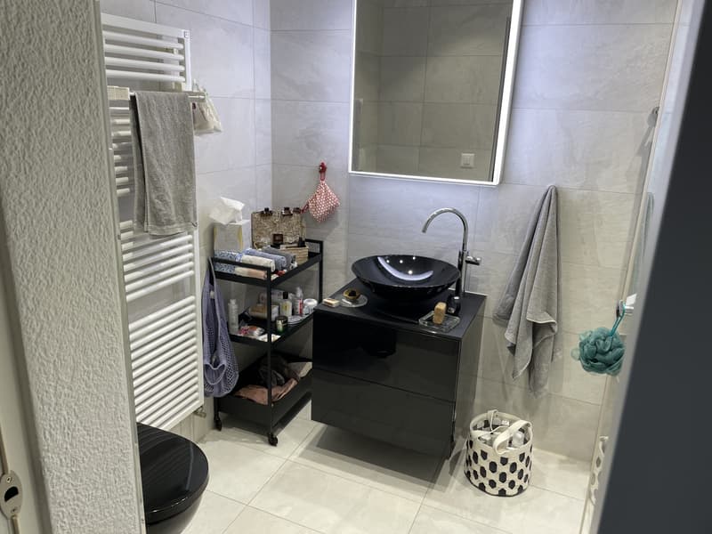 3½ ZI-WOHNUNG IN SOLOTHURN, MÖBLIERT, TEMPORÄR (7)