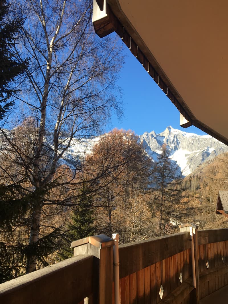 3½ ZI-WOHNUNG IN BELLWALD (VS), MÖBLIERT, TEMPORÄR (6)