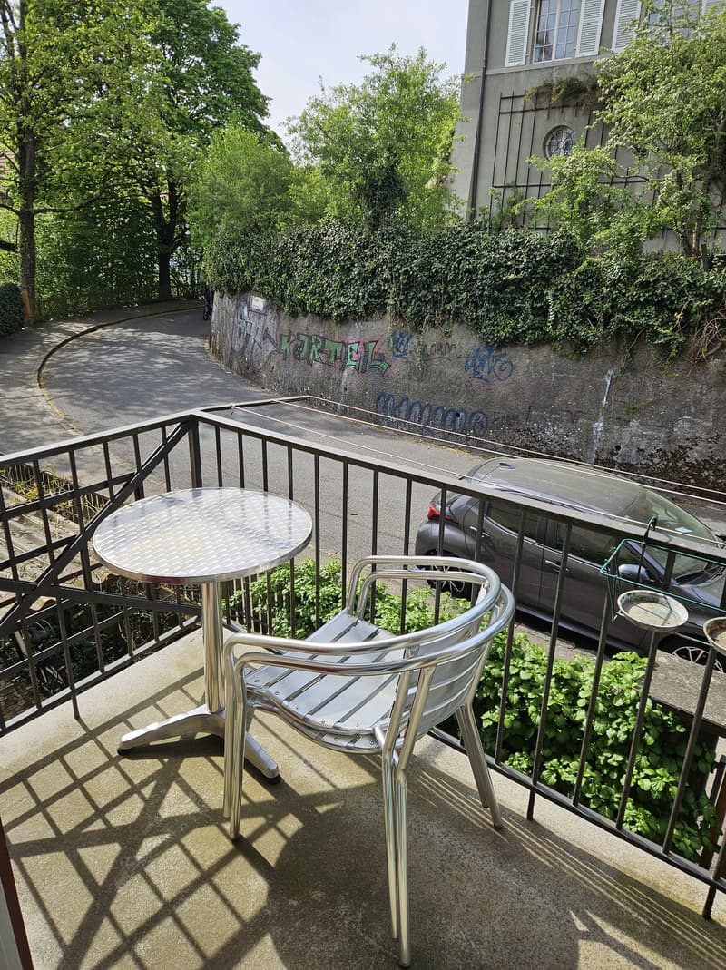 3½ ZI-WOHNUNG IN BERN - MATTENHOF, MÖBLIERT, TEMPORÄR (8)