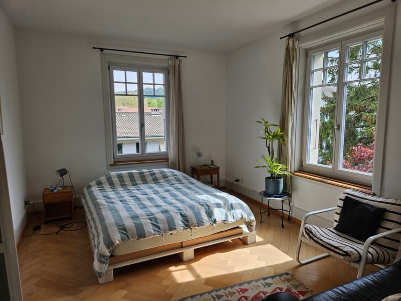 3½ ZI-WOHNUNG IN BERN - MATTENHOF, MÖBLIERT, TEMPORÄR (4)