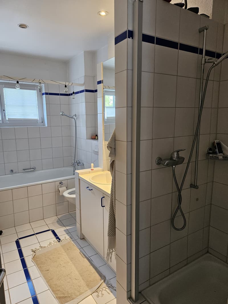 3½ ZI-WOHNUNG IN BERN - MATTENHOF, MÖBLIERT, TEMPORÄR (6)