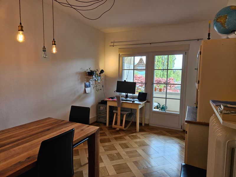 3½ ZI-WOHNUNG IN BERN - MATTENHOF, MÖBLIERT, TEMPORÄR (5)
