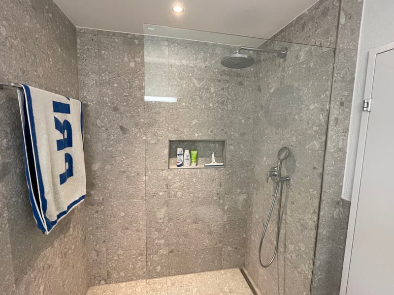 4½ ZI-WOHNUNG IN GRÜNINGEN (ZH), MÖBLIERT, TEMPORÄR (7)