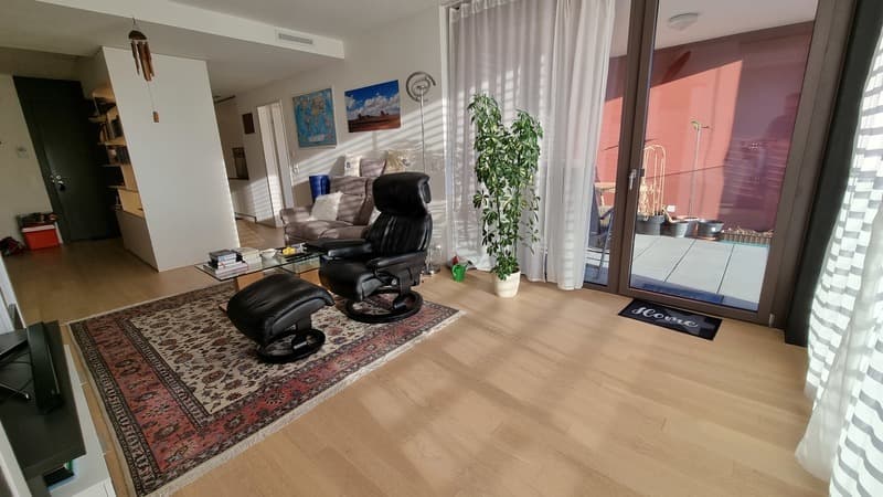 3½ ZI-WOHNUNG IN WINTERTHUR, MÖBLIERT, TEMPORÄR (2)