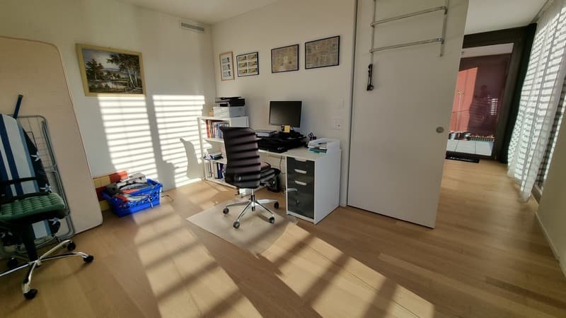 3½ ZI-WOHNUNG IN WINTERTHUR, MÖBLIERT, TEMPORÄR (6)