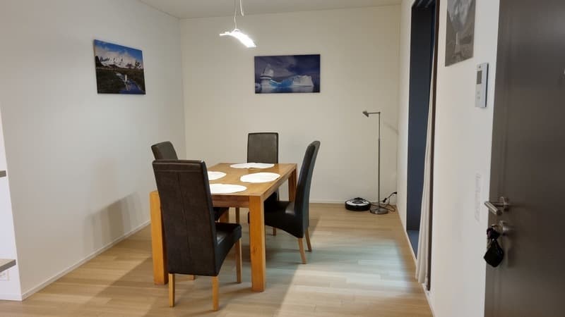 3½ ZI-WOHNUNG IN WINTERTHUR, MÖBLIERT, TEMPORÄR (3)