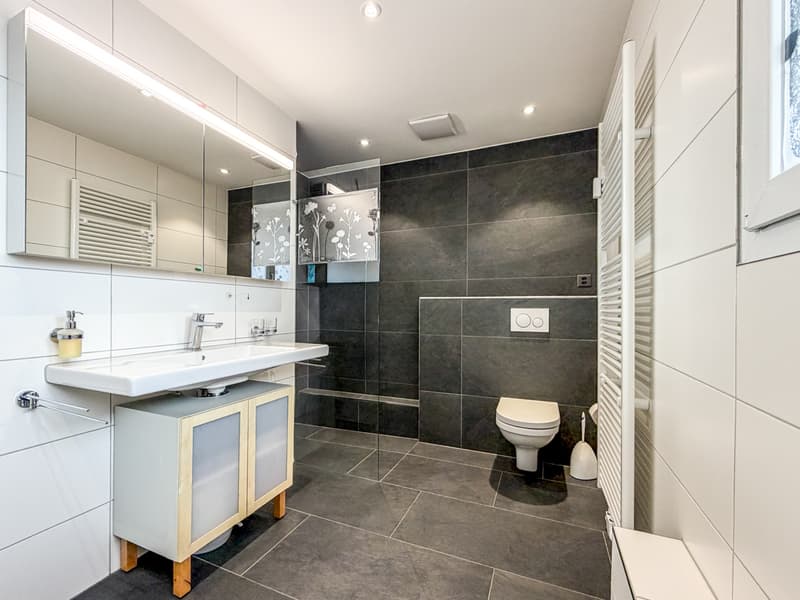 3½ ZI-WOHNUNG IN BASEL - BACHLETTEN/GOTTHELF, MÖBLIERT, TEMPORÄR (9)