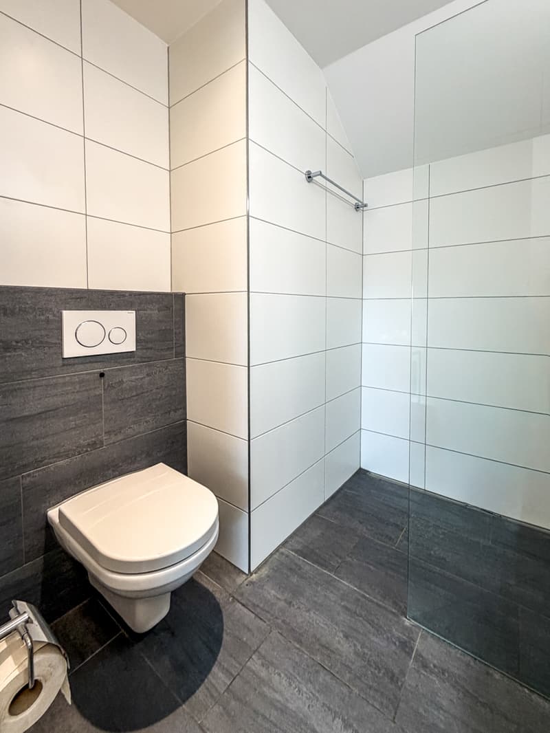 3½ ZI-WOHNUNG IN BASEL - BACHLETTEN/GOTTHELF, MÖBLIERT, TEMPORÄR (10)
