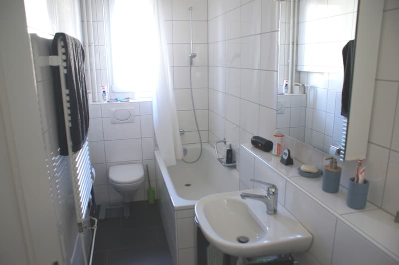 3 ZI-WOHNUNG IN BERN, MÖBLIERT, TEMPORÄR (7)