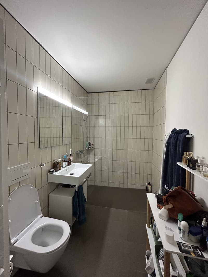 3½ ZI-WOHNUNG IN ZÜRICH - KREIS 9 ALBISRIEDEN, MÖBLIERT, TEMPORÄR (10)