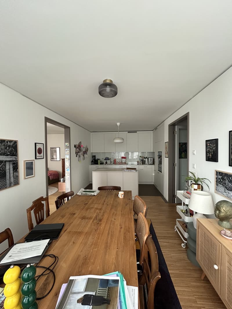 3½ ZI-WOHNUNG IN ZÜRICH - KREIS 9 ALBISRIEDEN, MÖBLIERT, TEMPORÄR (3)