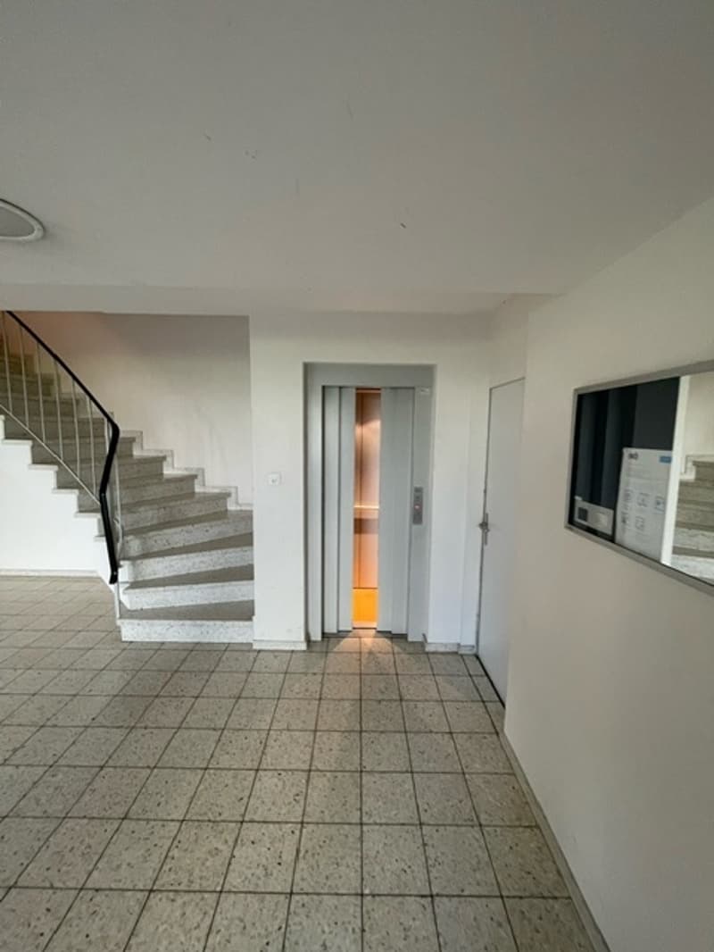 3½ ZI-WOHNUNG IN BOTTMINGEN (BL), MÖBLIERT, TEMPORÄR (8)