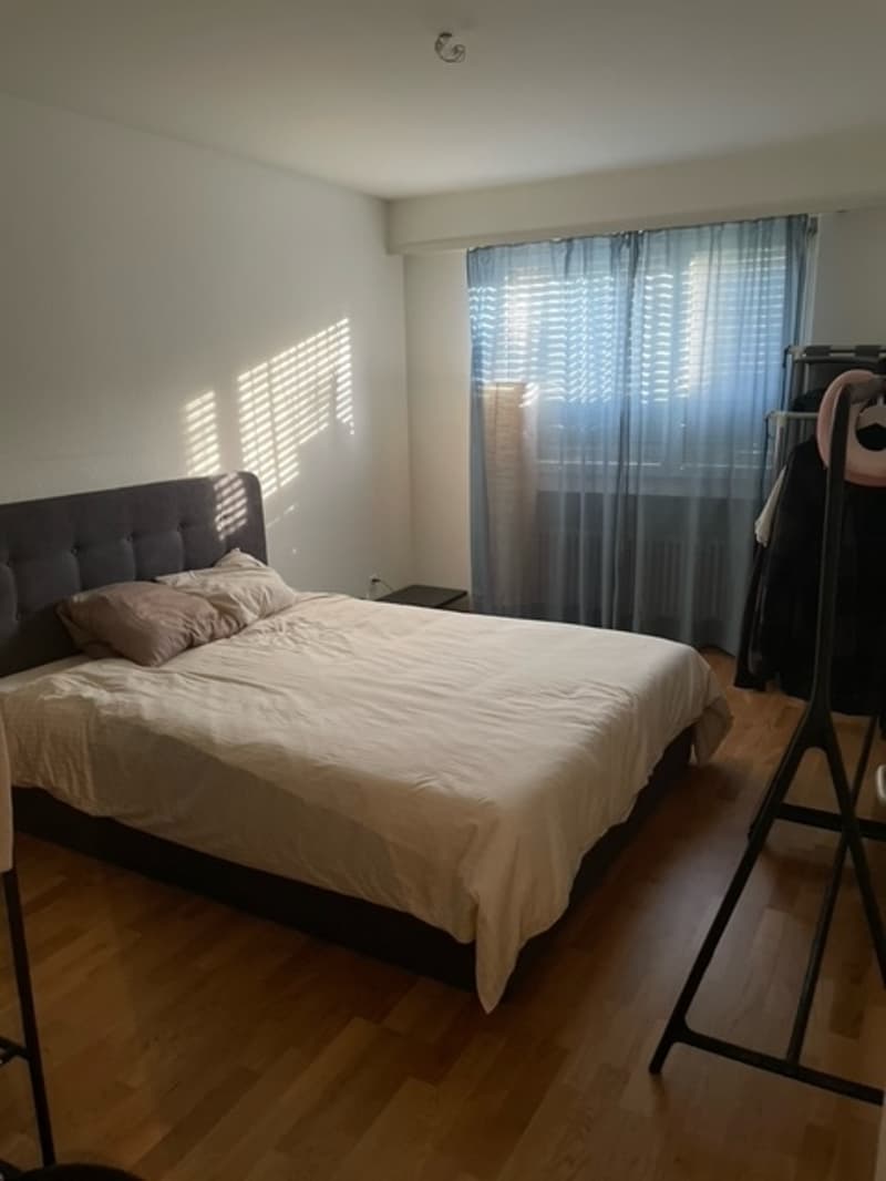 3½ ZI-WOHNUNG IN BOTTMINGEN (BL), MÖBLIERT, TEMPORÄR (6)