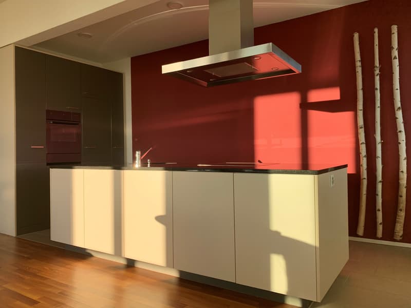 2½ ZI-WOHNUNG IN WINTERTHUR - OBERWINTERTHUR, MÖBLIERT, TEMPORÄR (3)