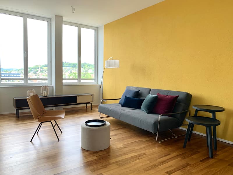 2½ ZI-WOHNUNG IN WINTERTHUR - OBERWINTERTHUR, MÖBLIERT, TEMPORÄR (2)