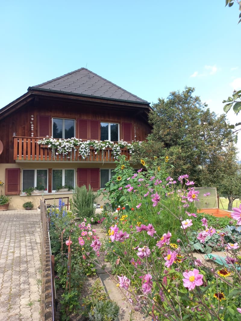 3½ ZI-WOHNUNG IN MIRCHEL (BE), MÖBLIERT, TEMPORÄR (4)