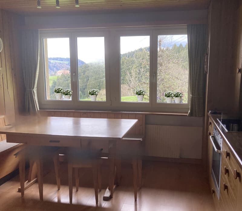 3½ ZI-WOHNUNG IN MIRCHEL (BE), MÖBLIERT, TEMPORÄR (1)