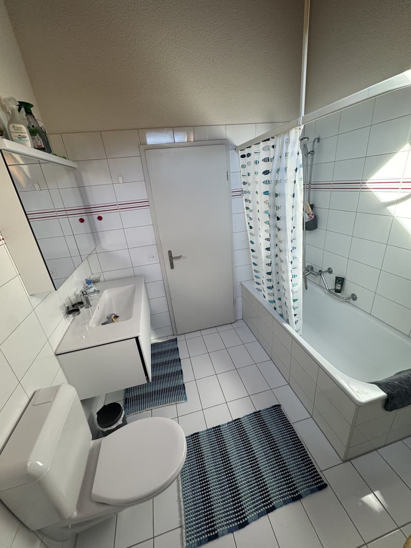 3 ZIMMER-DACHWOHNUNG IN KAUFDORF (BE), MÖBLIERT, TEMPORÄR (8)
