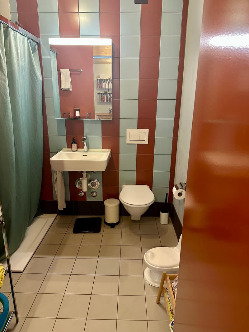 3½ ZI-WOHNUNG IN BASEL - ST. JOHANN, MÖBLIERT, TEMPORÄR (9)
