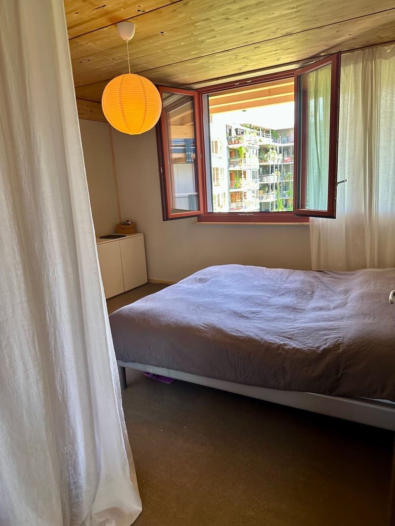 3½ ZI-WOHNUNG IN BASEL - ST. JOHANN, MÖBLIERT, TEMPORÄR (5)