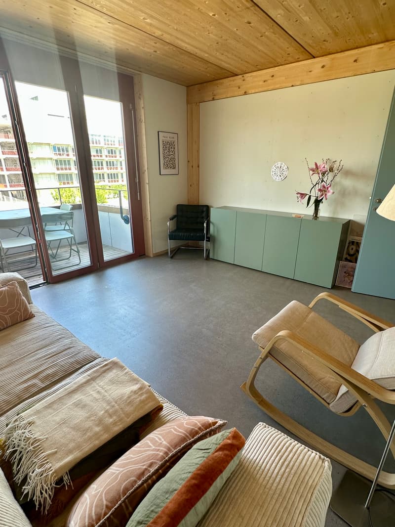 3½ ZI-WOHNUNG IN BASEL - ST. JOHANN, MÖBLIERT, TEMPORÄR (2)