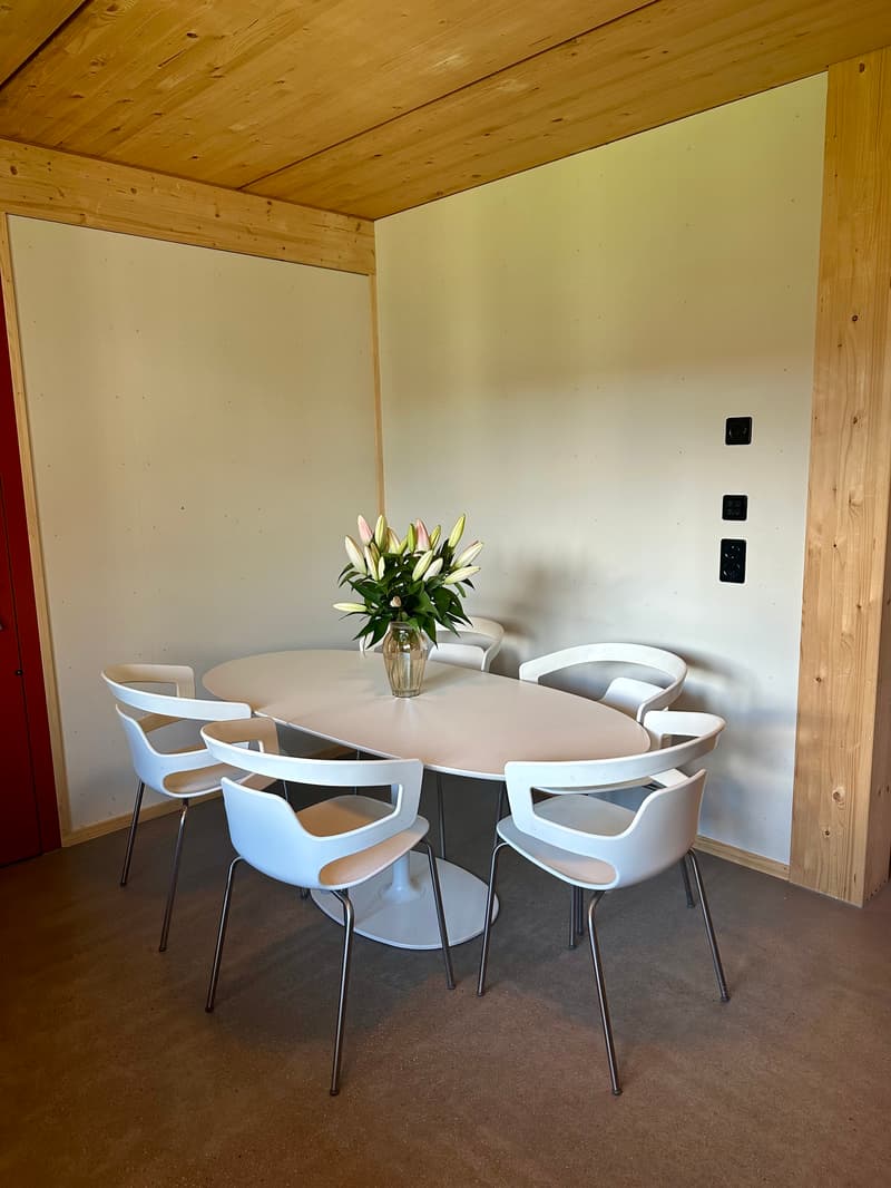 3½ ZI-WOHNUNG IN BASEL - ST. JOHANN, MÖBLIERT, TEMPORÄR (4)