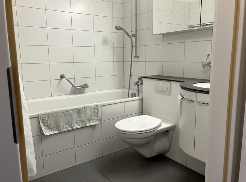 3 ZI-WOHNUNG IN BASEL - ALTSTADT/GROSSBASEL, MÖBLIERT (10)