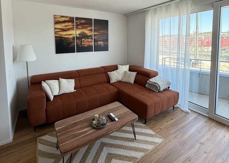 3½ ZI-WOHNUNG IN WALLISELLEN (ZH), MÖBLIERT, TEMPORÄR (1)