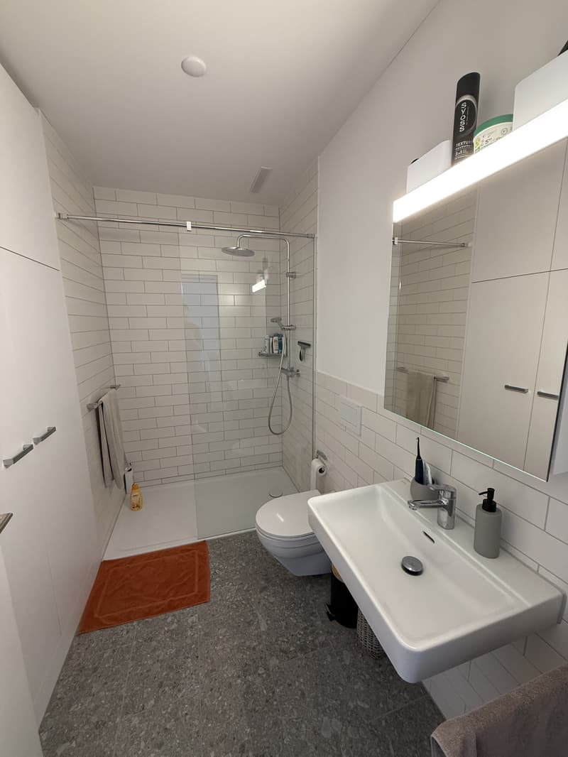 3½ ZI-WOHNUNG IN WALLISELLEN (ZH), MÖBLIERT, TEMPORÄR (8)