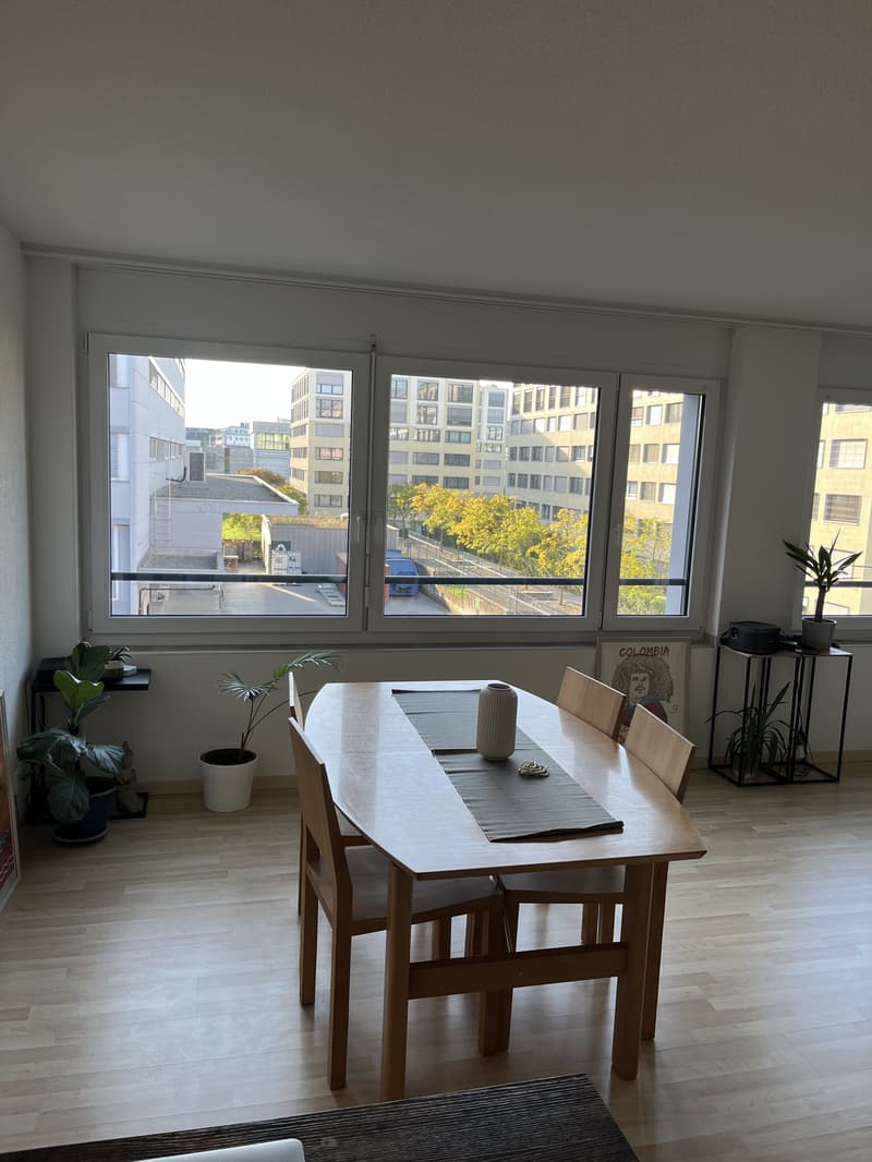 2½ ZI-WOHNUNG IN ZÜRICH - KREIS 11, MÖBLIERT, TEMPORÄR (4)