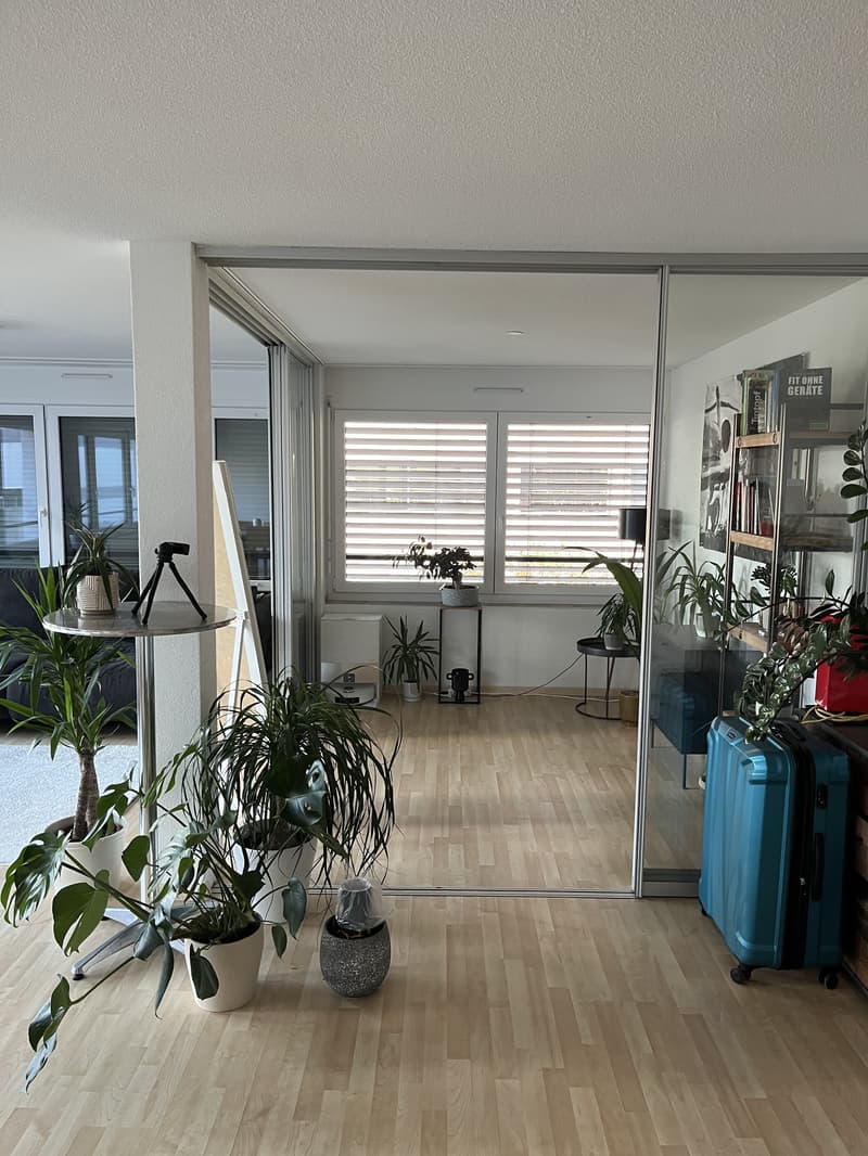 2½ ZI-WOHNUNG IN ZÜRICH - KREIS 11, MÖBLIERT, TEMPORÄR (5)