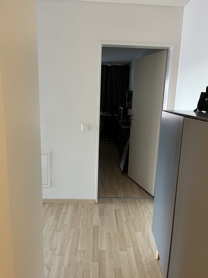2½ ZI-WOHNUNG IN ZÜRICH - KREIS 11, MÖBLIERT, TEMPORÄR (8)