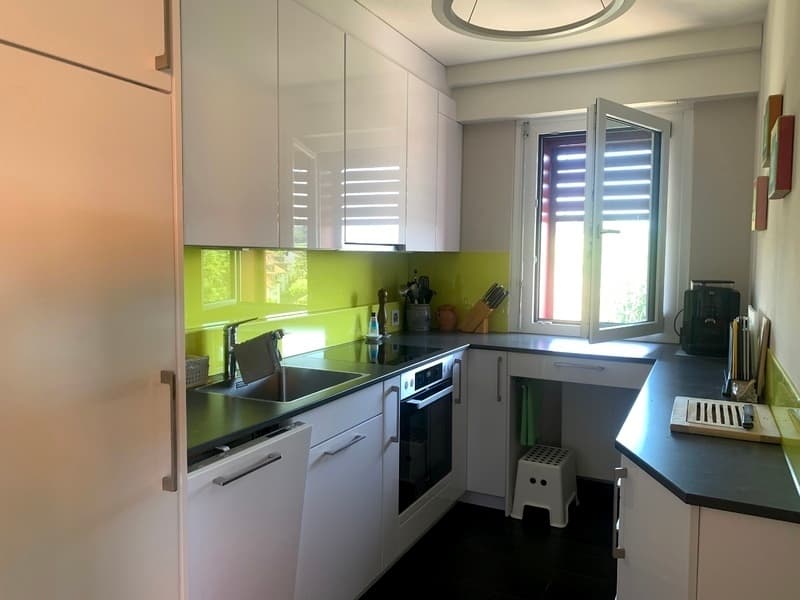 3½ ZIMMER-ATTIKAWOHNUNG IN ADLIKON B. REGENSDORF (ZH), MÖBLIERT, TEMPO (3)