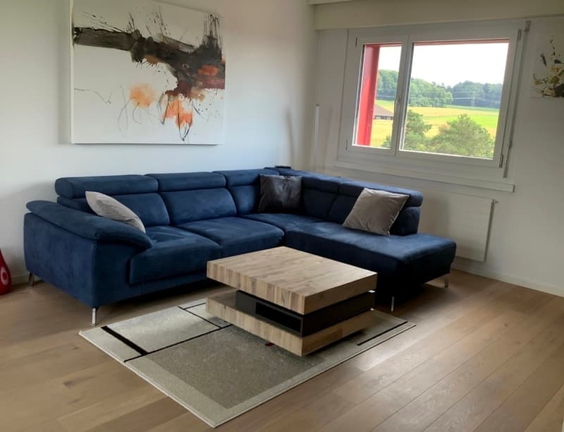 3½ ZIMMER-ATTIKAWOHNUNG IN ADLIKON B. REGENSDORF (ZH), MÖBLIERT, TEMPO (2)