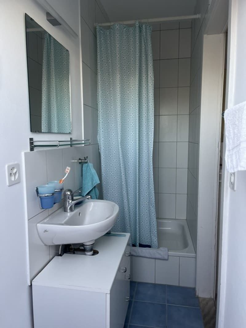 3½ ZI-WOHNUNG IN BERN - ELFENAU/BRUNNADERN, MÖBLIERT, TEMPORÄR (9)