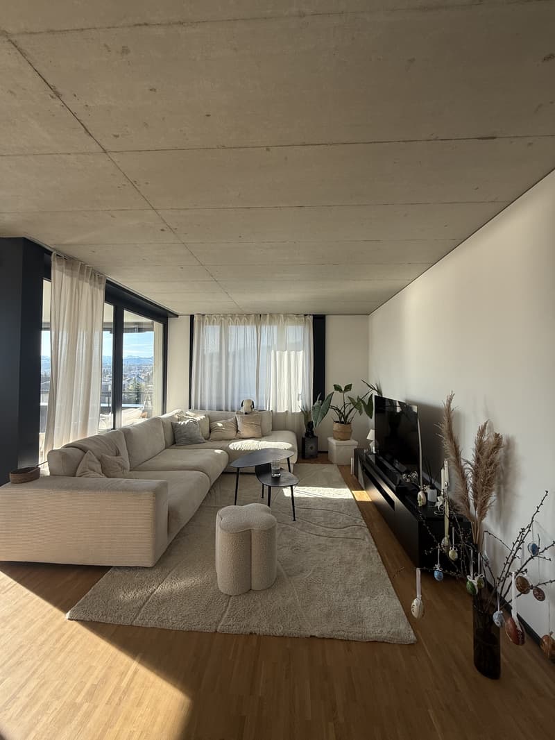 3½ ZI-WOHNUNG IN OBERRIEDEN (ZH), MÖBLIERT, TEMPORÄR (2)