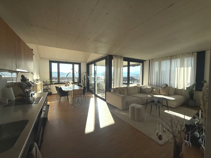 3½ ZI-WOHNUNG IN OBERRIEDEN (ZH), MÖBLIERT, TEMPORÄR (1)