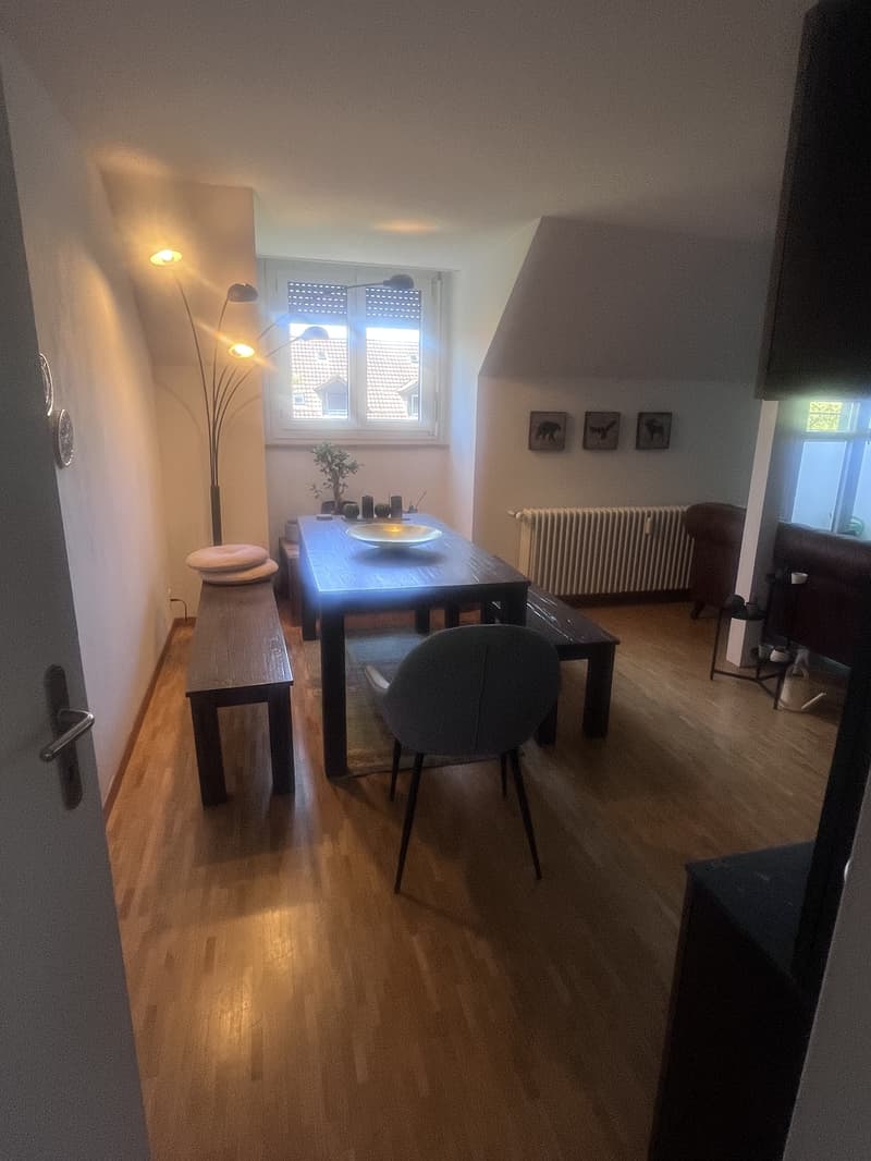 3½ ZI-WOHNUNG IN BERN - SONNENHOF, MÖBLIERT, TEMPORÄR (4)